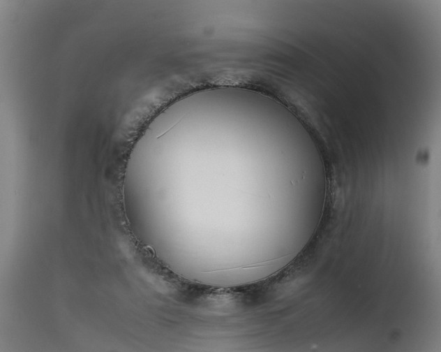 X0000112850307200908281610