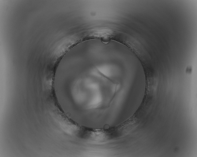 X0000112850309200908281610