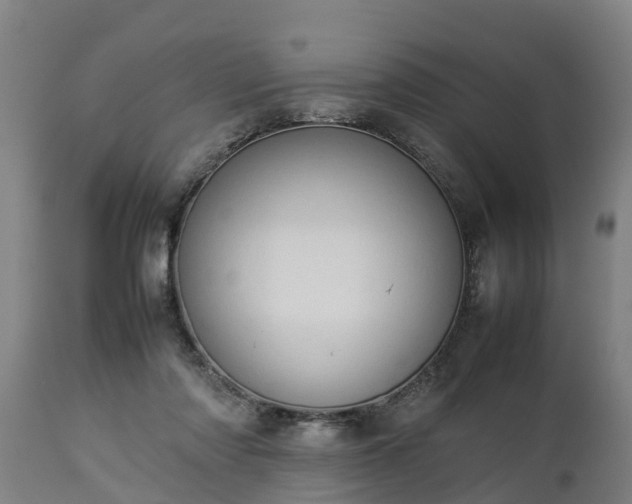 X0000112850310200908281610