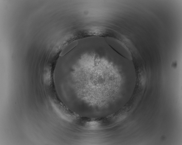 X0000112850312200908281610