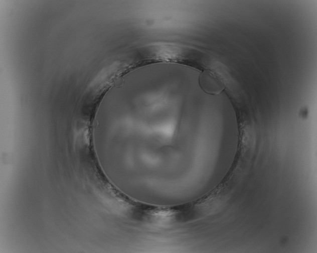 X0000112850313200908281609