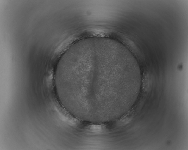 X0000112850314200908281609