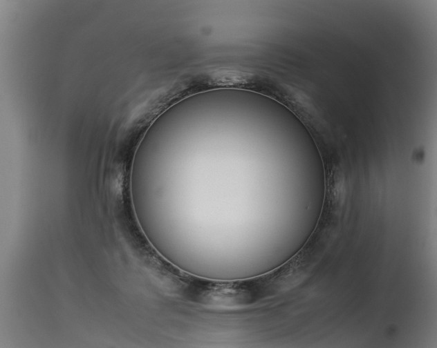 X0000112850315200908281609