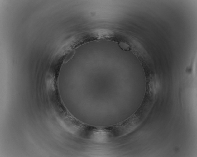 X0000112850316200908281609