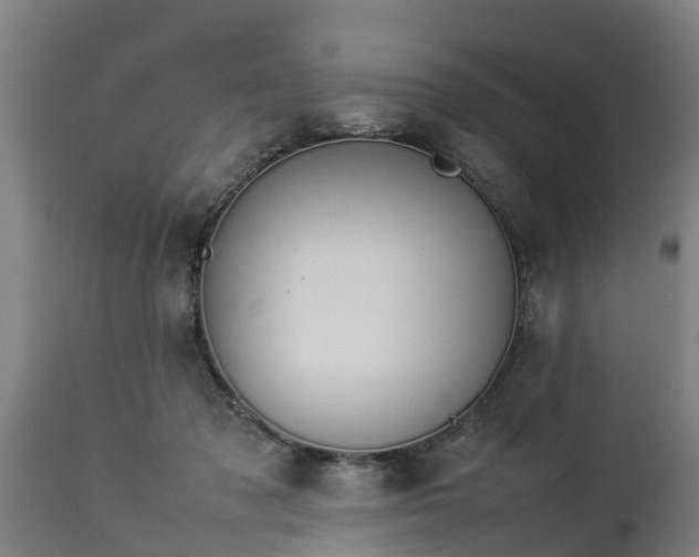 X0000112850317200908281609