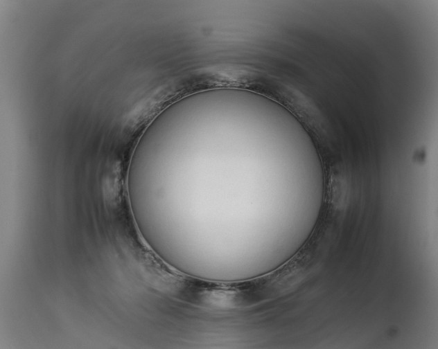 X0000112850318200908281609