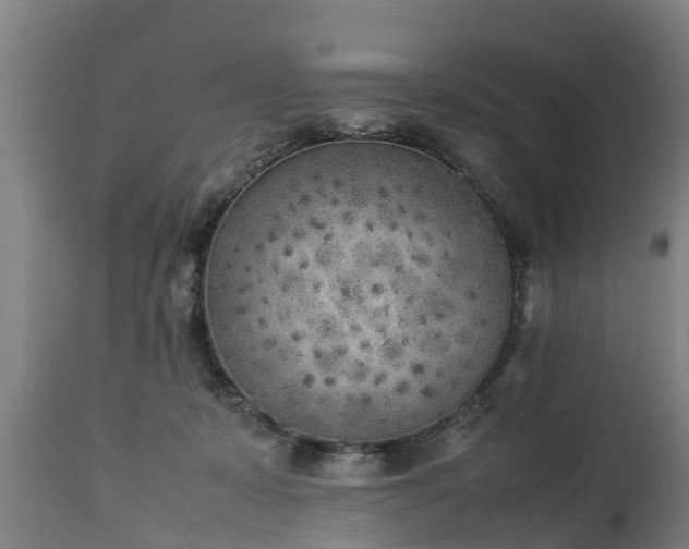 X0000112850319200908281609