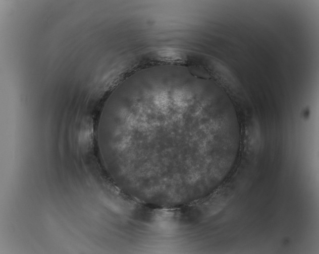 X0000112850320200908281609