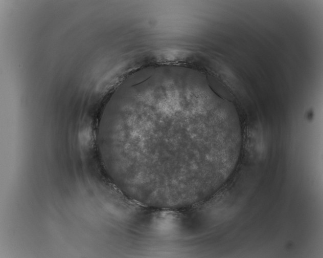 X0000112850324200908281609