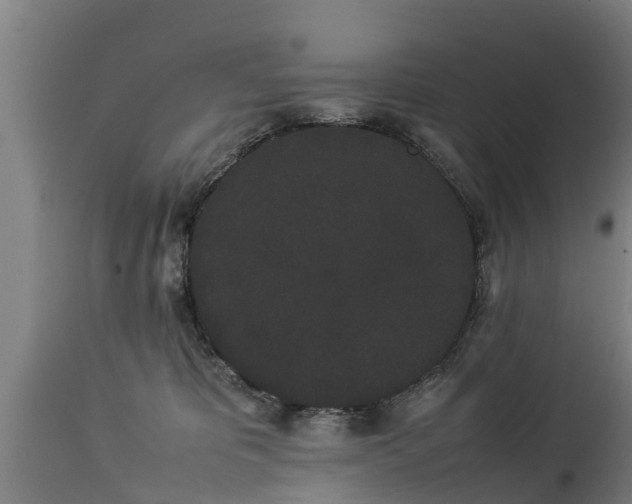 X0000112850325200908281609