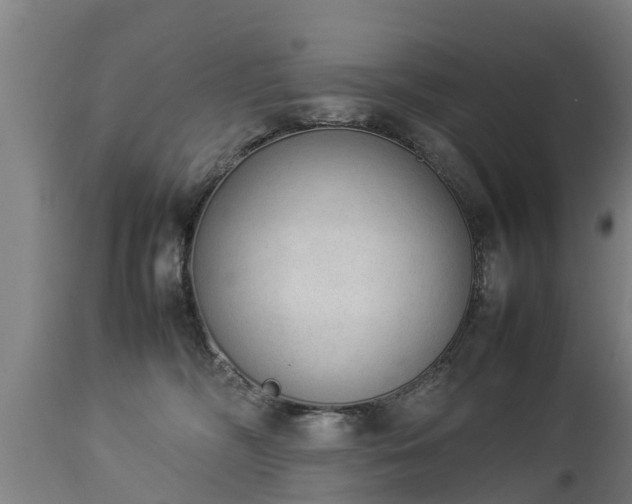 X0000112850326200908281609