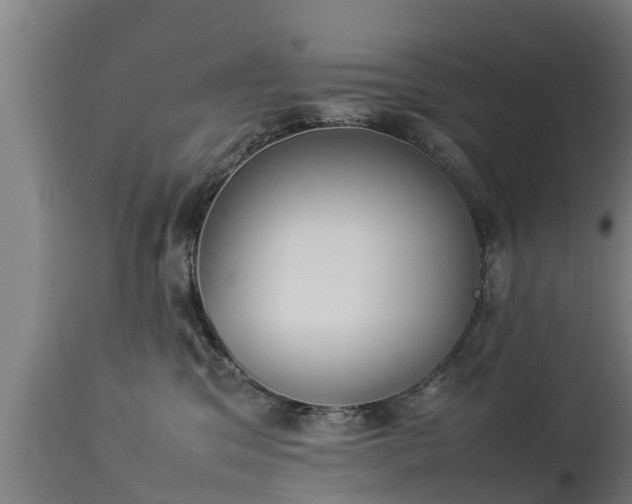 X0000112850329200908281609