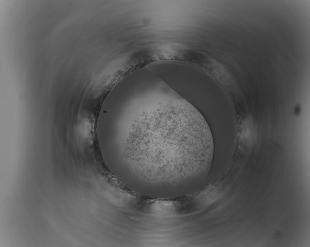 X0000112850332200908281609