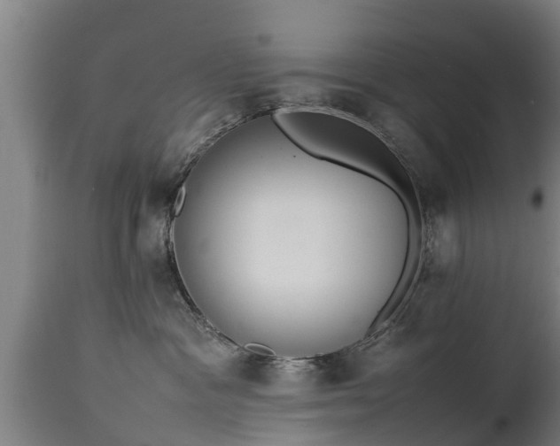 X0000112850333200908281609