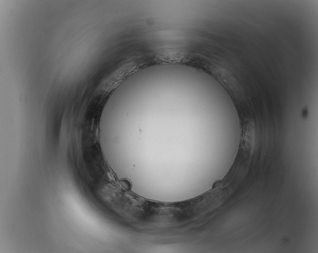 X0000112850334200908281609