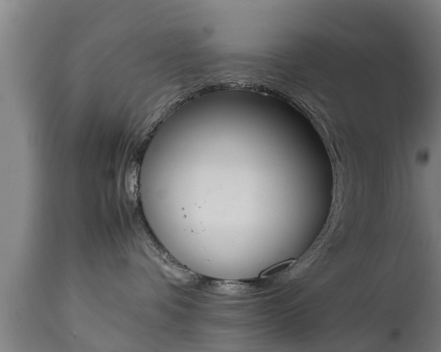 X0000112850336200908281609