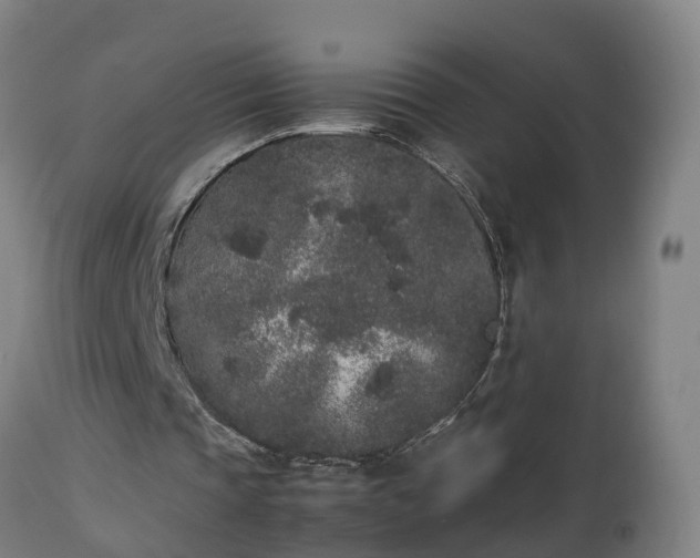 X0000112850337200908281608