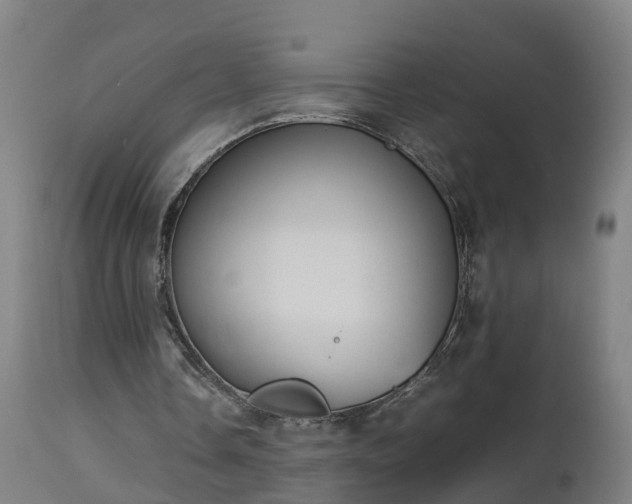 X0000112850338200908281608