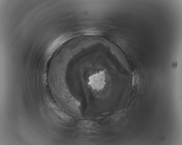 X0000112850339200908281608