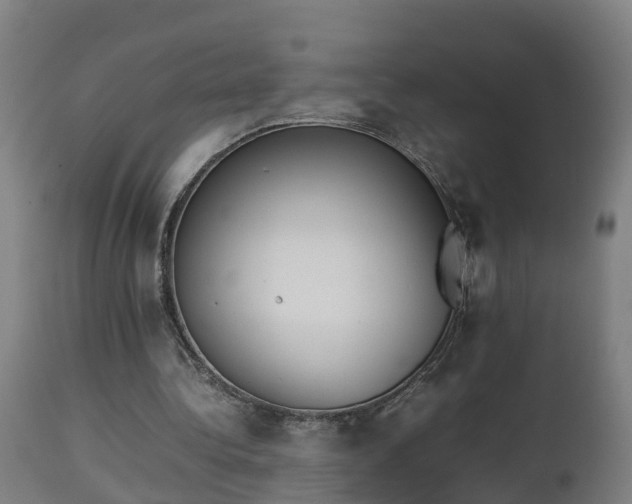 X0000112850340200908281609