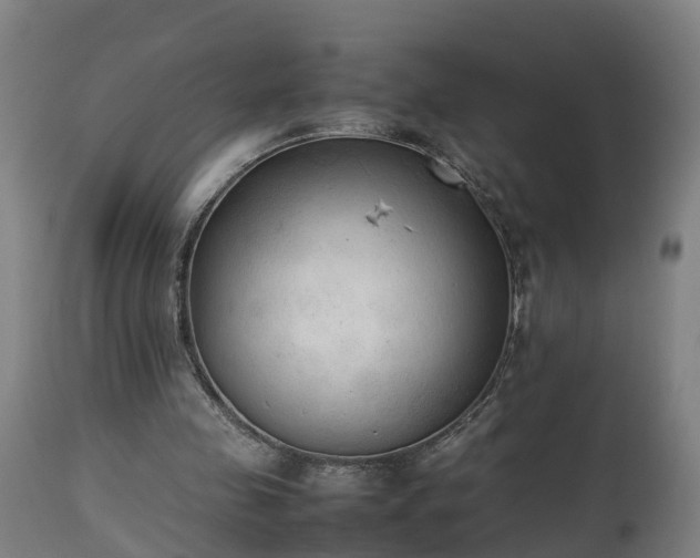 X0000112850341200908281609