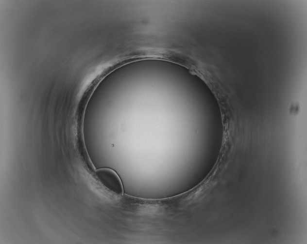 X0000112850342200908281609