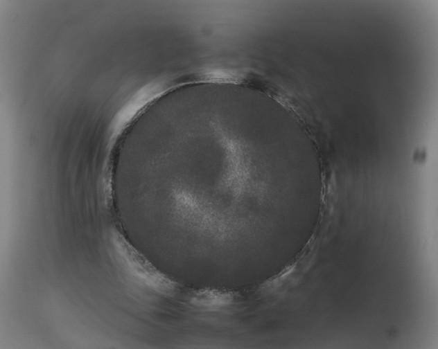 X0000112850343200908281609