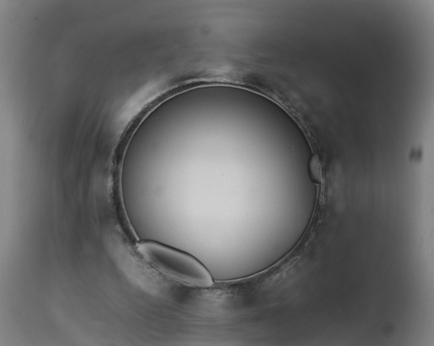 X0000112850344200908281609