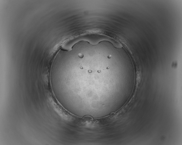 X0000112850345200908281609