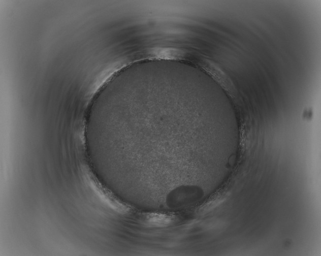 X0000112850347200908281609