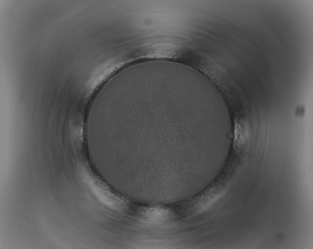 X0000112850348200908281609