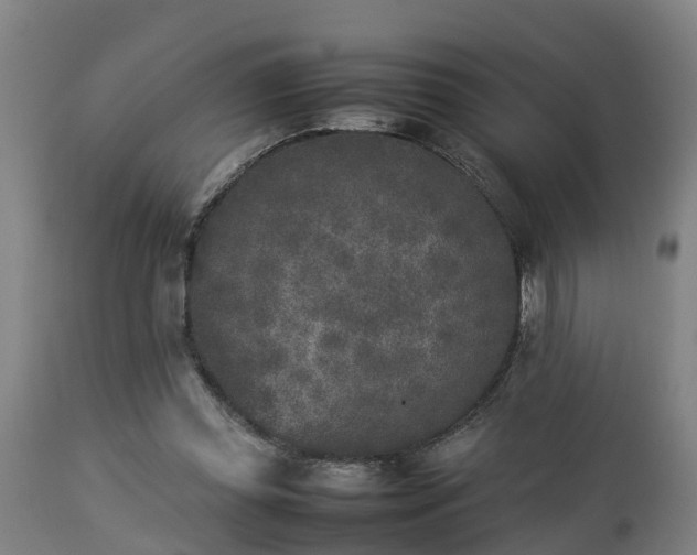 X0000112850349200908281609