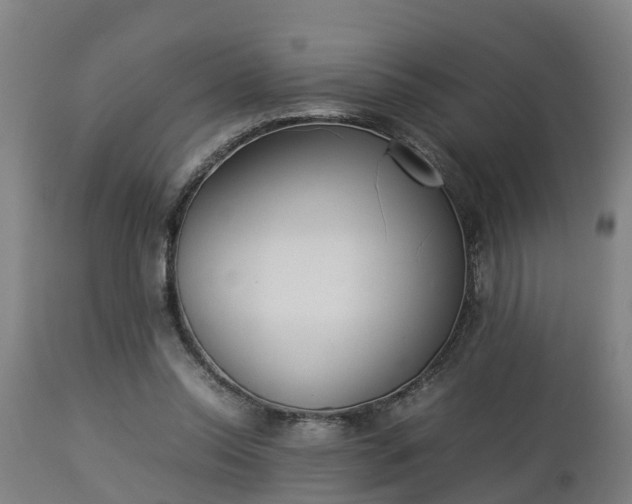 X0000112850350200908281609