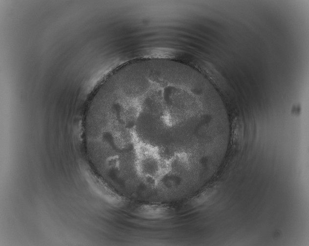 X0000112850351200908281609