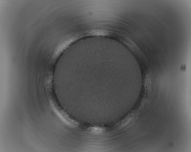 X0000112850352200908281609