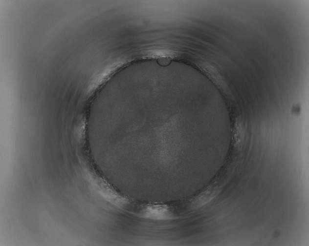 X0000112850355200908281609