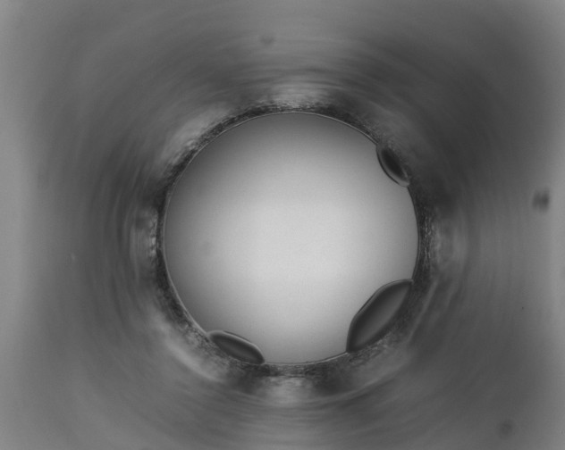 X0000112850356200908281609