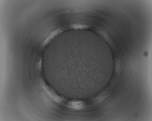 X0000112850357200908281609