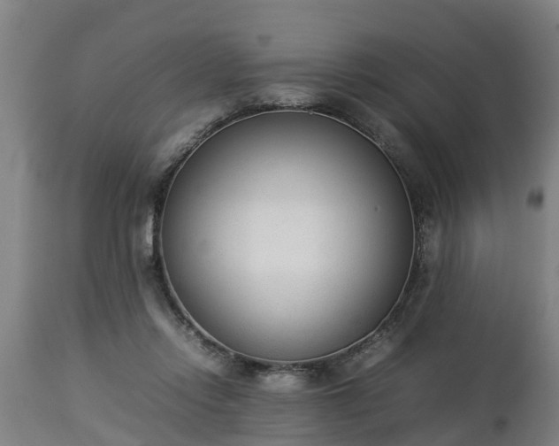 X0000112850358200908281609