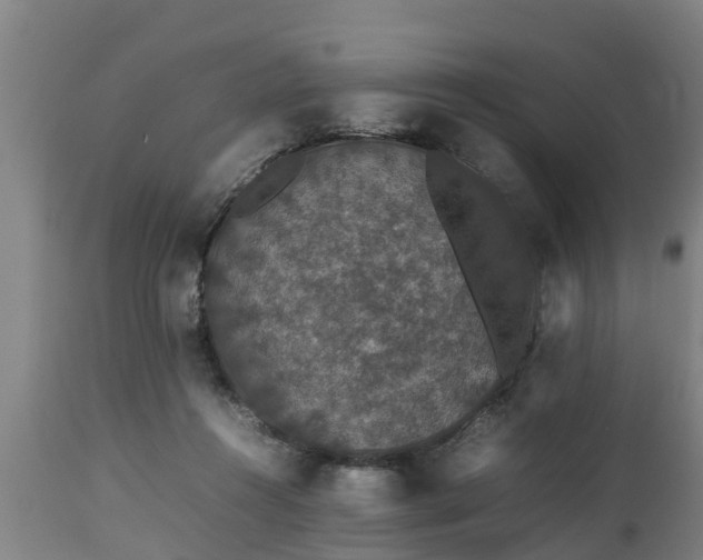 X0000112850360200908281609