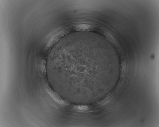 X0000112850361200908281609