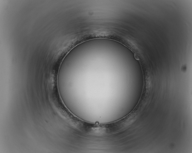 X0000112850362200908281609