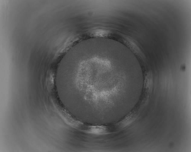 X0000112850363200908281609