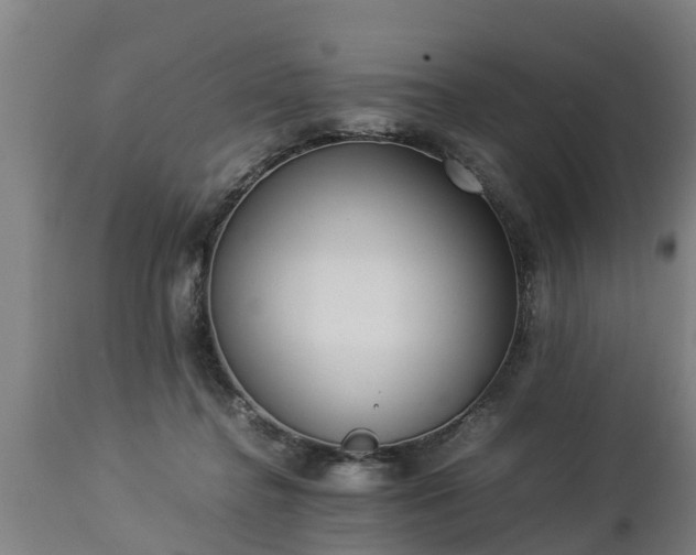 X0000112850364200908281609
