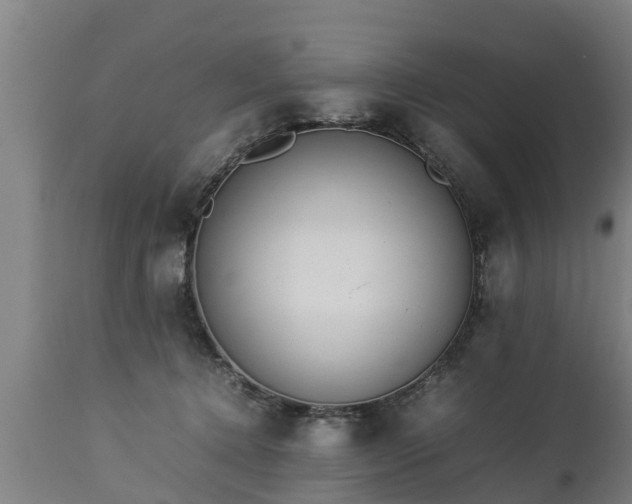 X0000112850368200908281609