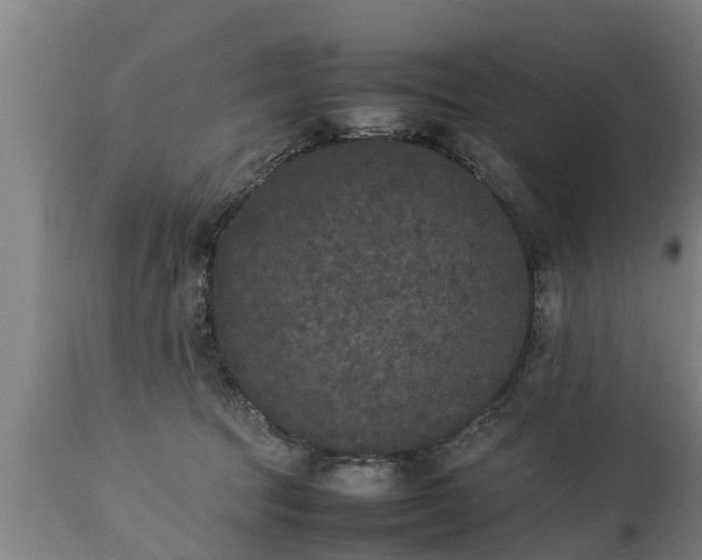 X0000112850369200908281609