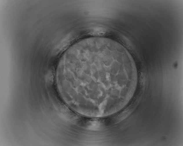 X0000112850370200908281609