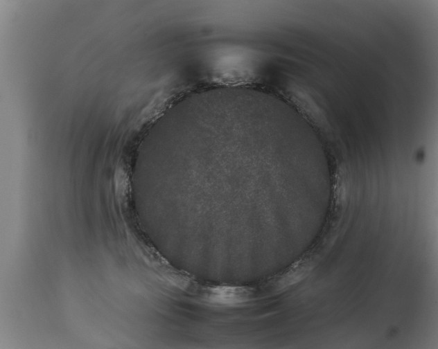 X0000112850371200908281609