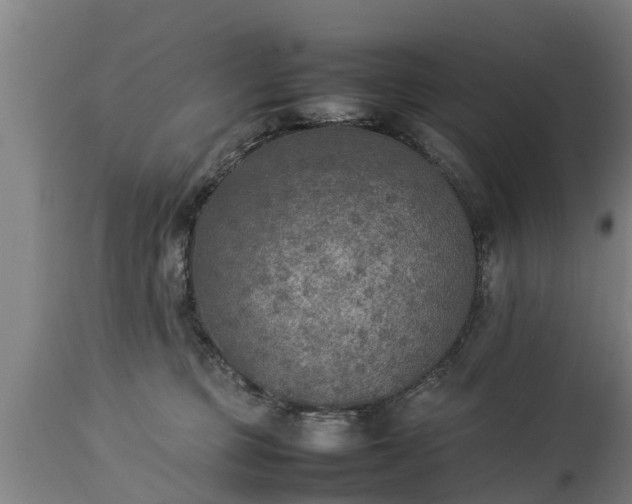 X0000112850373200908281609