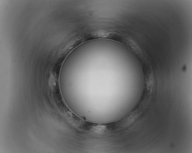 X0000112850374200908281609